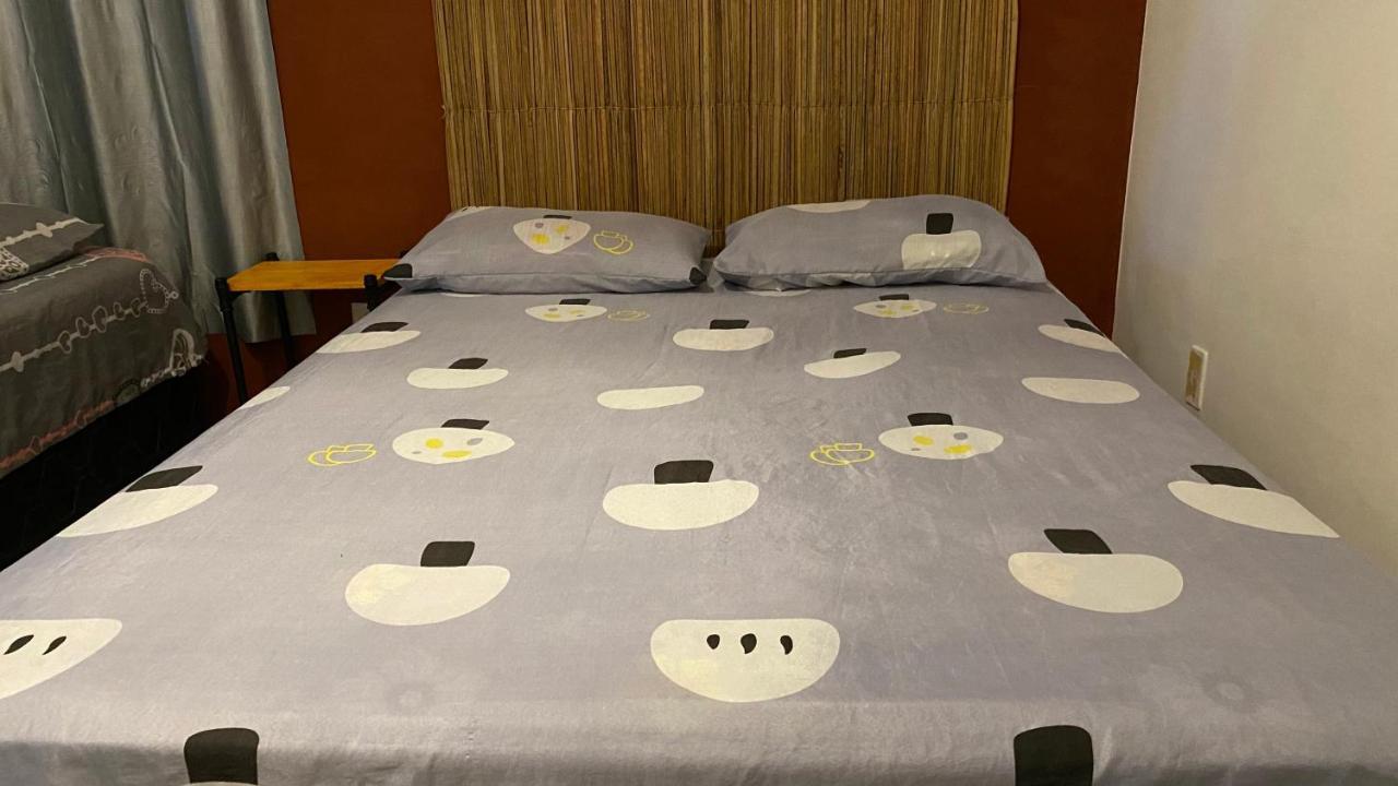 Luau Pousada E Hostel プライア・ド・フランセス エクステリア 写真